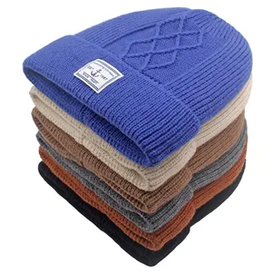 Winter gebreide mutsen in zes kleuren met fleece voering en stijlvolle ankervlak