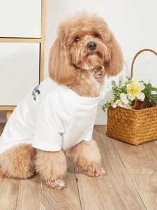 Breathable mesh pet T-shirt with black letter print on a brown poodle in a cozy home