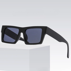 Square Sunglasses PC Frame AC Lens UV400 Protection Thick Frame Outdoor Sports Retro Trendy Men Women Hip Hop Fashion Eyewear