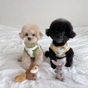 Two small dogs wearing thin summer vests with cartoon prints sitting on a white bed