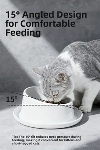 Detail view of cat eating from white ceramic 15-degree tilted bowl to protect cervical spine