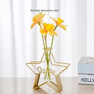 Star-shaped gold metal frame vase with glass test tube for home desktop decoration