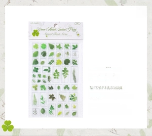 Detailed view of 3D acrylic plant stickers showing ginkgo and fern designs on white paper