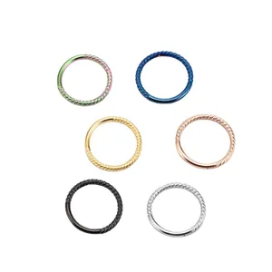 Stainless steel twisted rope nose rings and hoop earrings set in six metallic colors
