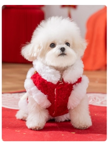 Dettaglio del gilet festivo rosso per cani con bordo in peluche e campana d'oro