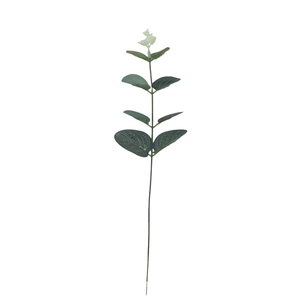 Detailed view of dark green eucalyptus leaf spray with white veins for floral decor