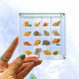 Handheld clear 16-slot acrylic organizer displaying tiny natural shells under bright sky