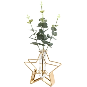 Golden star-shaped metal flower vase with glass tube and eucalyptus leaves for decor