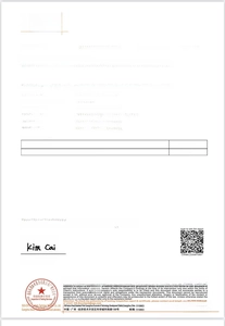 Official SGS test report showing FDA compliance and safety certification for silicone brush