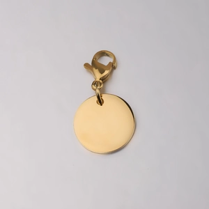 Polished gold stainless steel round pendant with lobster clasp on grey background