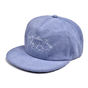Detail of blue corduroy baseball cap featuring white cactus embroidery and scripted text