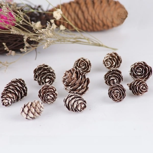 Detail of natural pine cones with white frost finish for DIY Christmas tree decor