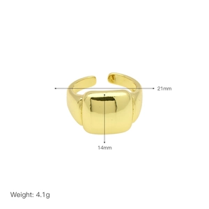 Detail showing 21mm width and 14mm height dimensions of the 18k gold plated signet ring