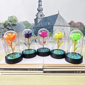 Detail of five colorful LED galaxy roses in glass domes with elegant black bases
