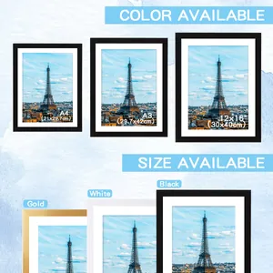 Size chart for PVC photo frames in A4, A3, and 12x16 inch formats with color options