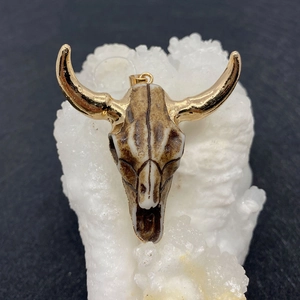 Detailed view of an acrylic bull skull pendant with gold horns on a white crystal base
