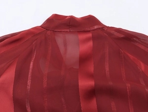 Detail of dark red blouse featuring sheer mesh, satin stripes, and elegant stand collar