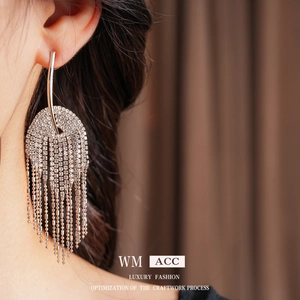 Exquisite silver fringe tassel earrings with rhinestones for a luxury fashion statement