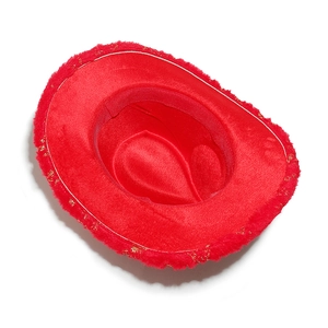 Detailed low angle view of red velvet cowboy hat with fluffy fur trim and gold thread