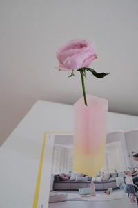 Pink and yellow gradient acrylic vase with a blooming rose on a magazine and white table