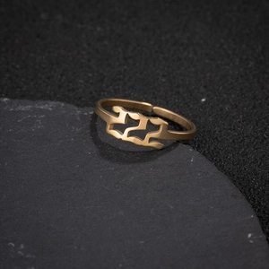 Macro view of golden adjustable ring with number 222 cutout on dark textured rock