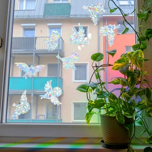 Rainbow bird window stickers with prism effect casting colorful shadows on the sill