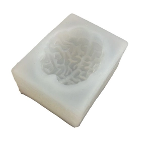 Translucent silicone brain mold for Halloween DIY crafts and realistic resin casting