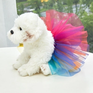Detail of colorful rainbow tutu skirt with tiered mesh texture for dogs on model