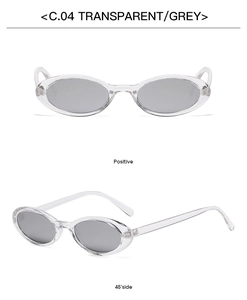Detail view of oval frame sunglasses in transparent grey finish with sleek temples