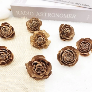 Close-up of eight natural dried cedar rose pine cones on rustic linen with books