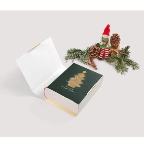 Detail view of forest green Christmas book box with transparent tree window and festive decor