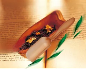Detail of a brown translucent PP tea scoop showing the durable heat resistant material