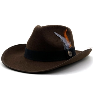Detailed texture of brown felt fedora with black ribbon, feather and metal badge