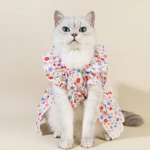 Detailed view of floral pet dress with ruffle neckline on a small white cat