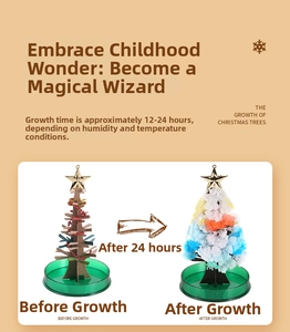 Detail of magic growing crystal Christmas tree showing 24h growth process and components