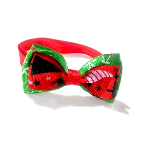 Gros plan d'un nœud papillon de Noël pour animaux en rouge et vert avec motifs étoiles