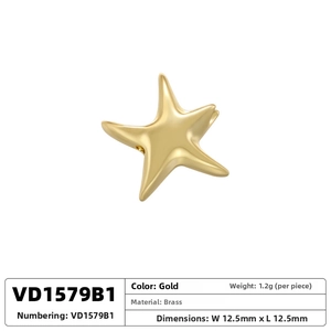 Détail du pendentif étoile de mer en laiton doré, taille 12,5 mm et poids 1,2 g