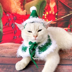 Detail of hand-knitted green and white Christmas hat and scarf set on a white cat