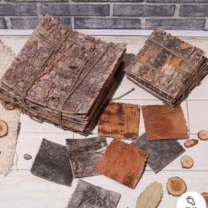 Natural Birch Bark For DIY Crafts Micro Landscape Decor Rustic Photography Props Woodland Style Decoration Crafting Material