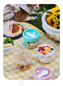 Portable oatmeal yogurt cup with lid and spoon for outdoor picnic breakfast on grass