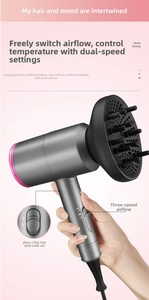 Sèche-cheveux ionique avec bague rose et diffuseur professionnel pour séchage rapide
