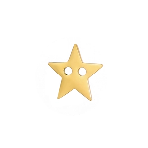 Macro detail of star-shaped golden metal button pendant with polished finish