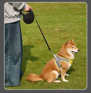 Close-up of breathable mesh harness with reflective straps and retractable leash
