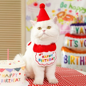 Birthday party set for cats and dogs with red felt hat and matching bandana bib