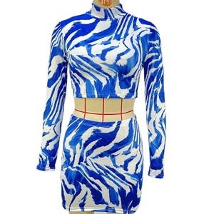 Ensemble deux pièces à motif zébré bleu et blanc avec haut court et jupe moulante