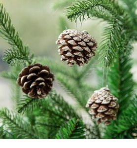 Detail of natural and snow-tipped pine cone ornaments with silver hanging strings