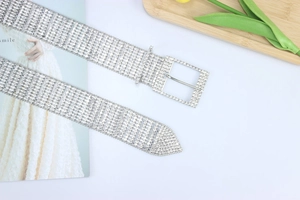 Detailed view of silver luxury rhinestone belt with ten-row crystals and square buckle