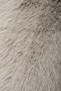 Macro shot showing soft texture and fluffy pile of high-quality beige faux fur vest