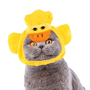 Front view of a grey cat wearing a soft yellow plush duck headwear on white background