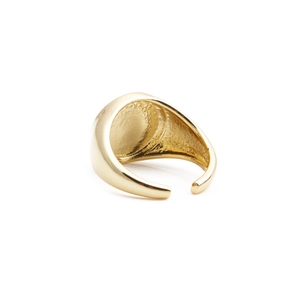Minimalist gold-plated turtle shaped open ring with adjustable band for men and women